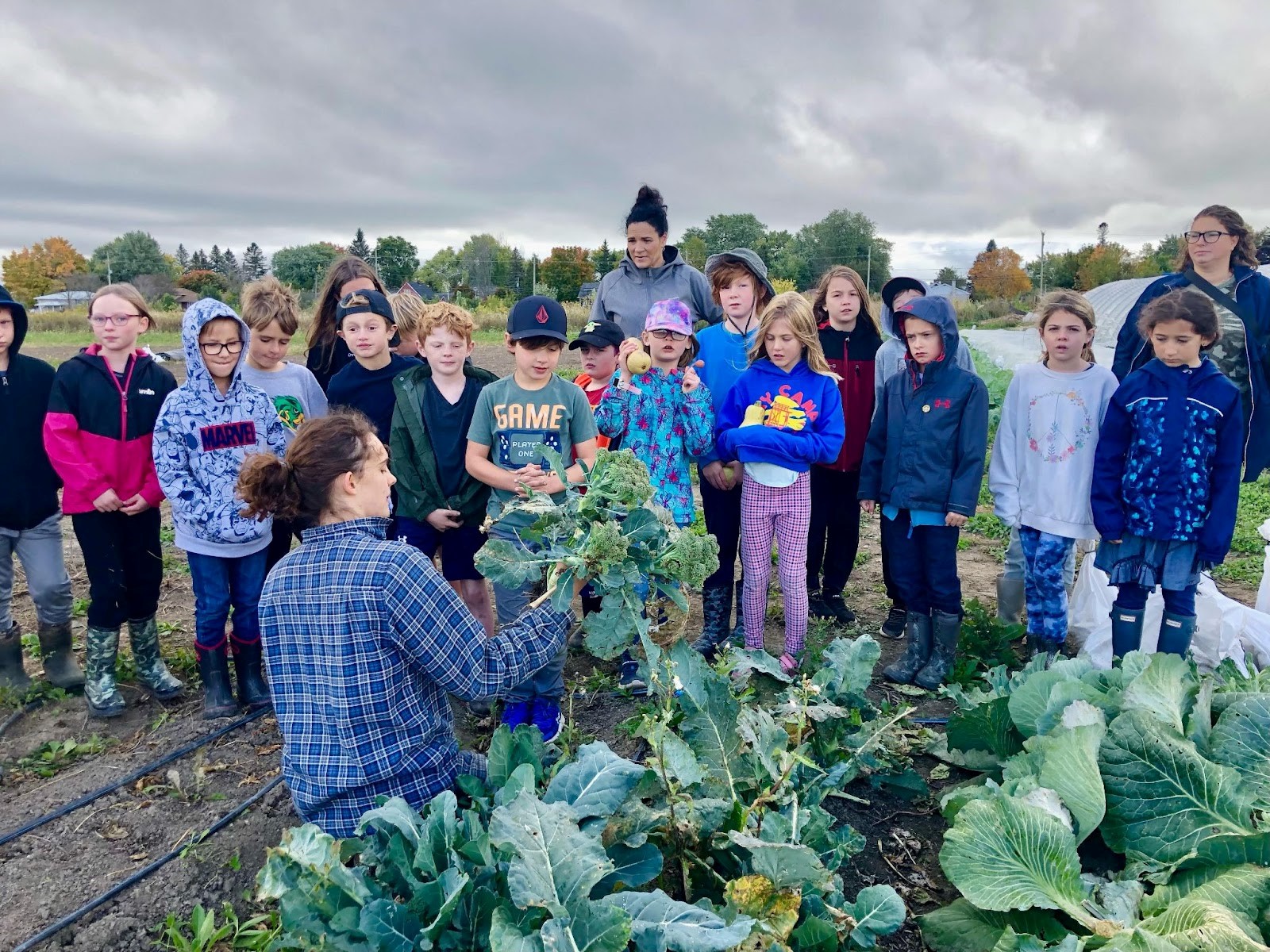 A teacher in a garden holding cauliflower telling a class of children about it